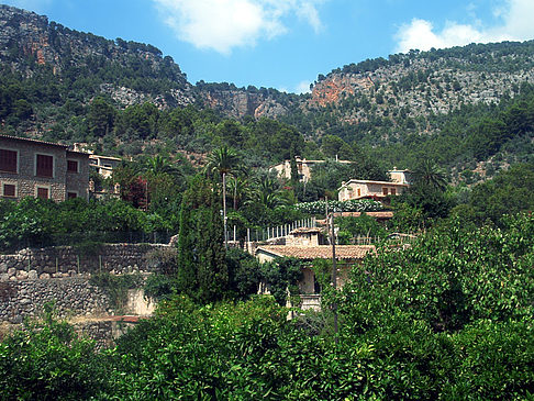 Fornalutx - Mallorca (Fornalutx)